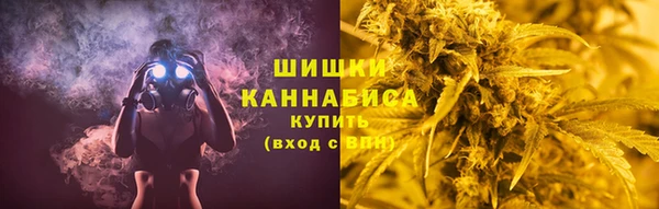 соль ск Козловка