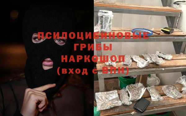 соль ск Козловка