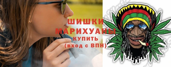 соль ск Козловка
