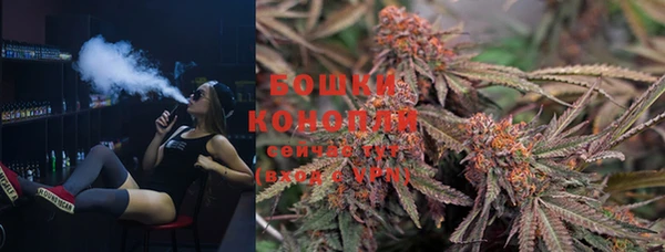 соль ск Козловка