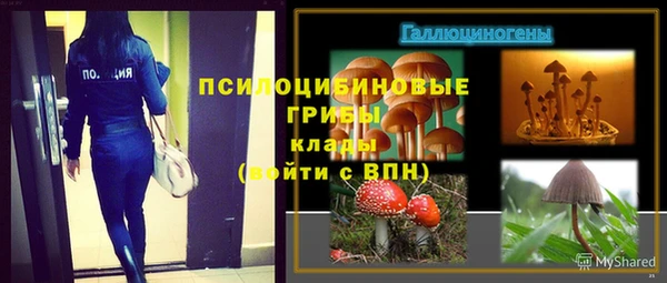 МДМА Кодинск