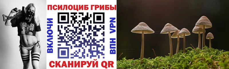 Купить  Гвардейск  Галлюциногенные грибы прущие грибы 